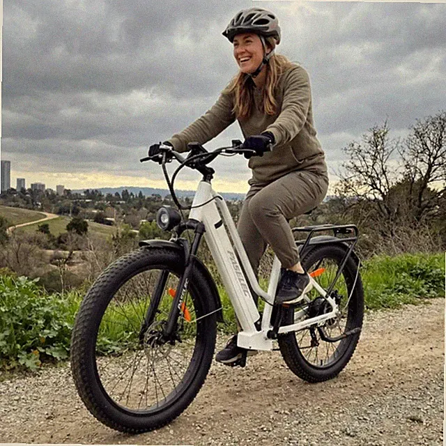 27.5'' Electric Bicycle 1000W Peak 48V 16Ah Commuter E-Bike E-MTB 8 Speed 28mph